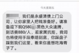 巴音郭楞为什么选择专业追讨公司来处理您的债务纠纷？